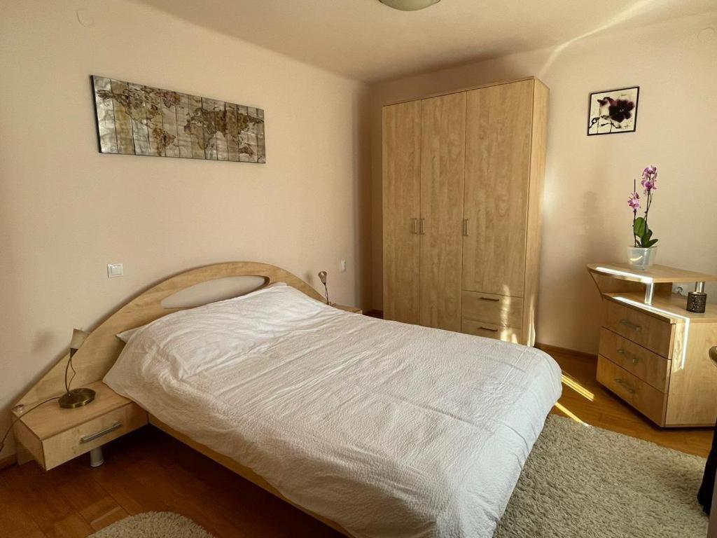 Appartement Winterland Sf.Ioan à Braşov Extérieur photo